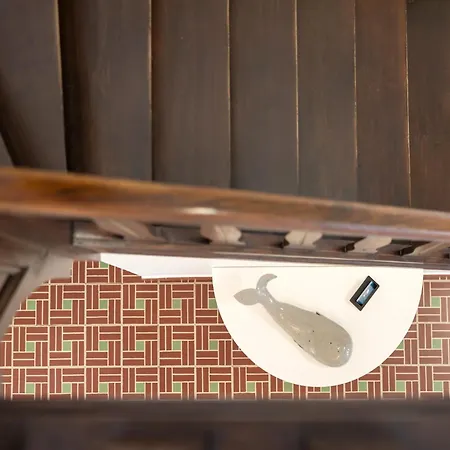 In With Sunny Garden كوكسيجدي