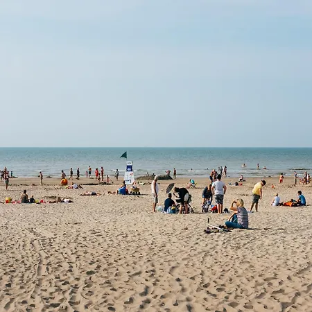 In With Sunny Garden *