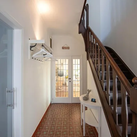 In With Sunny Garden كوكسيجدي