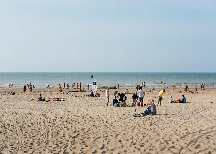 In With Sunny Garden *